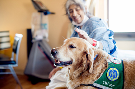 Help bring more dog therapy to patients at Dignity Health by supporting Canine Kindness today. 