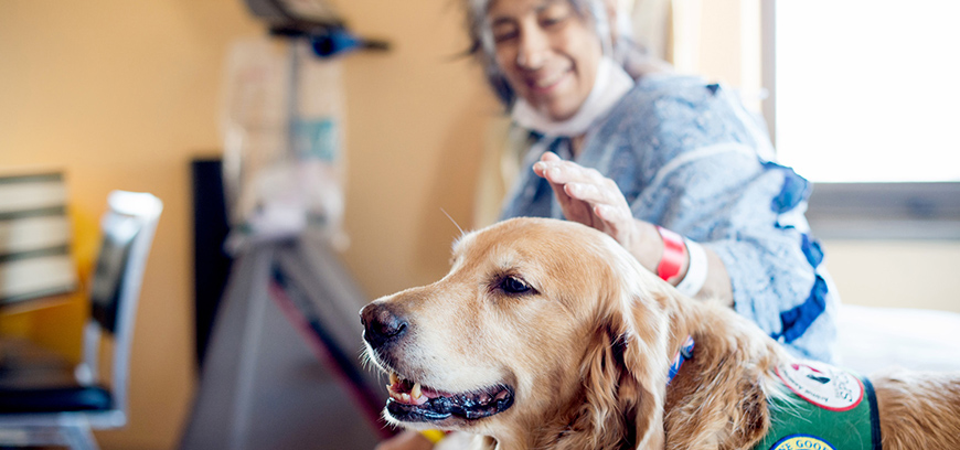 Support Canine Kindness for Dignity Health's patients, families and staff.