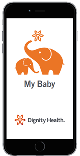 Screenshop of the app showing a baby and momma elephant